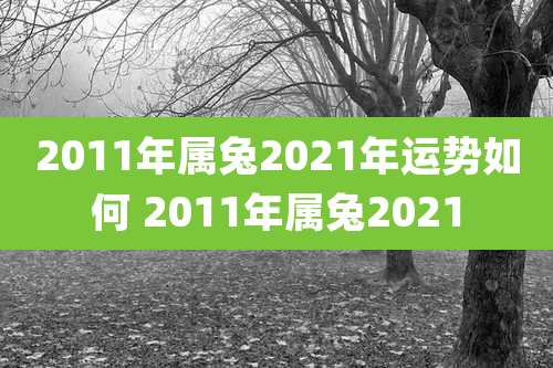 2011年属兔2021年运势如何 2011年属兔2021