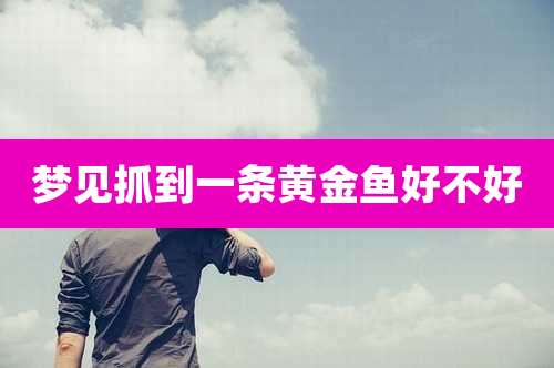 梦见抓到一条黄金鱼好不好