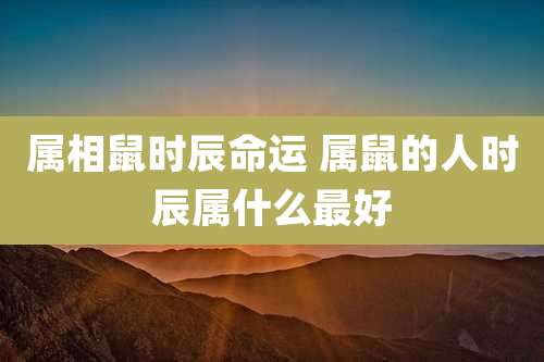 属相鼠时辰命运 属鼠的人时辰属什么最好