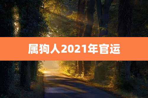 属狗人2021年官运