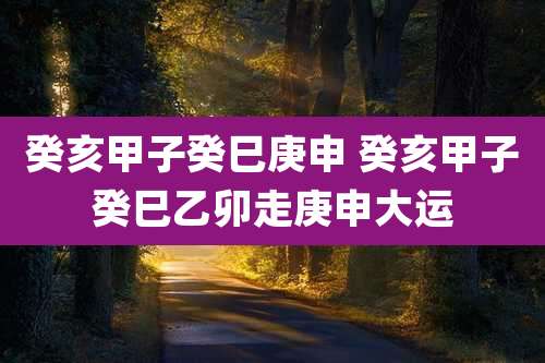 癸亥甲子癸巳庚申 癸亥甲子癸巳乙卯走庚申大运