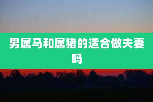 男属马和属猪的适合做夫妻吗