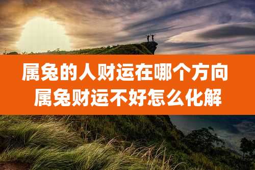 属兔的人财运在哪个方向 属兔财运不好怎么化解