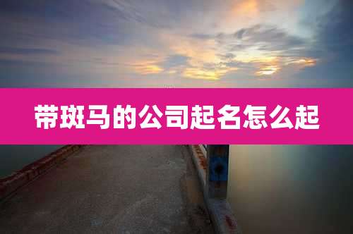 带斑马的公司起名怎么起
