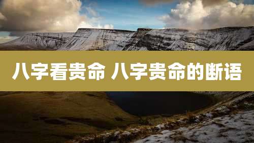 八字看贵命 八字贵命的断语