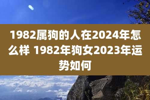 1982属狗的人在2024年怎么样 1982年狗女2023年运势如何