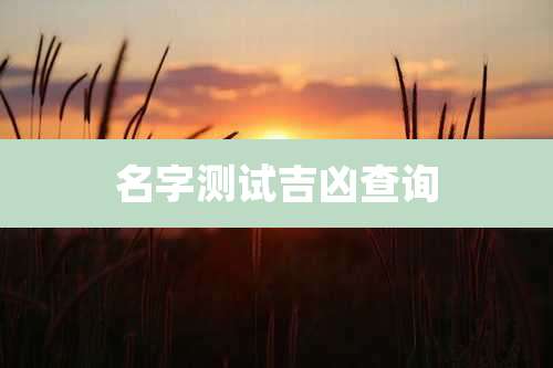 名字测试吉凶查询