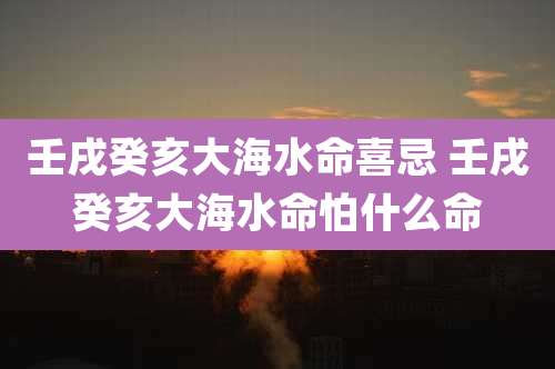 壬戌癸亥大海水命喜忌 壬戌癸亥大海水命怕什么命