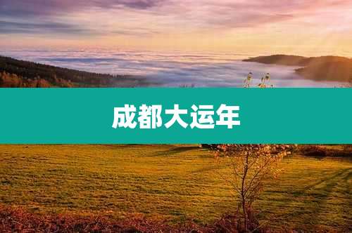 成都大运年