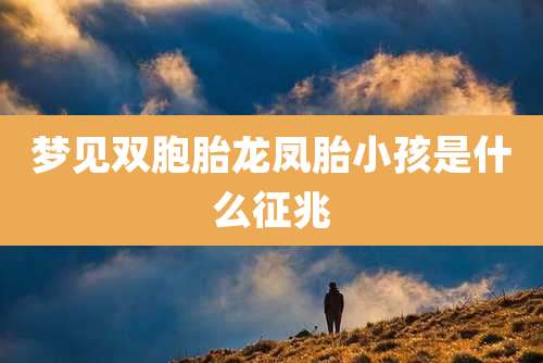 梦见双胞胎龙凤胎小孩是什么征兆