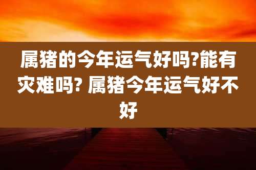 属猪的今年运气好吗?能有灾难吗? 属猪今年运气好不好