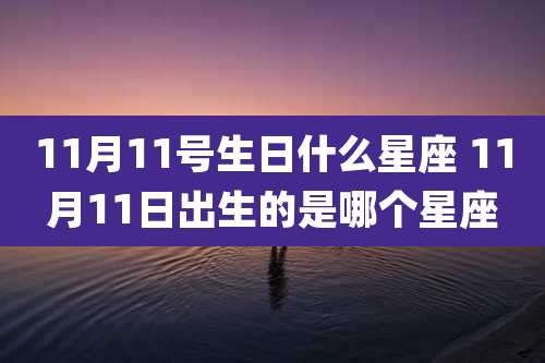 11月11号生日什么星座 11月11日出生的是哪个星座