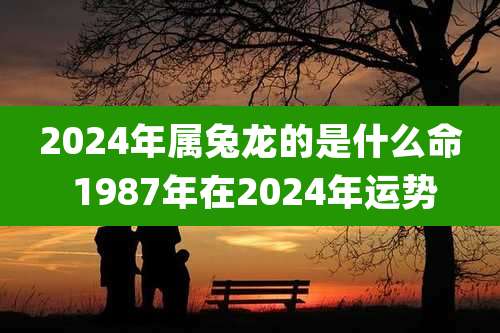 2024年属兔龙的是什么命 1987年在2024年运势
