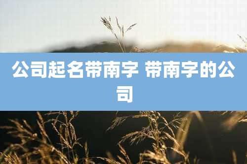 公司起名带南字 带南字的公司
