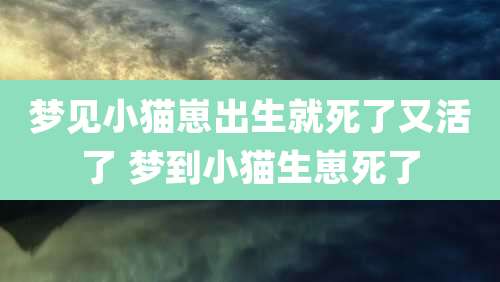 梦见小猫崽出生就死了又活了 梦到小猫生崽死了