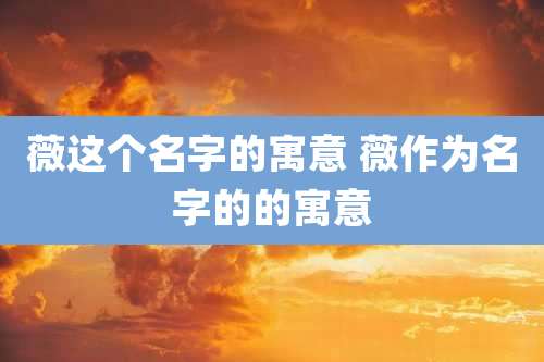 薇这个名字的寓意 薇作为名字的的寓意