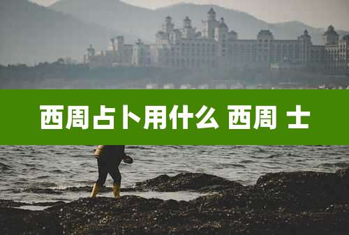 西周占卜用什么 西周 士