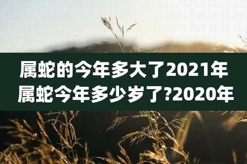 属蛇的今年多大了2021年 属蛇今年多少岁了?2020年