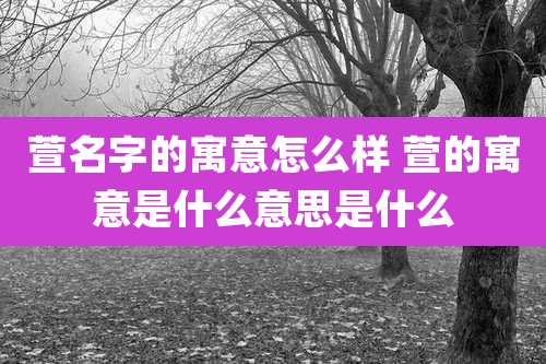 萱名字的寓意怎么样 萱的寓意是什么意思是什么