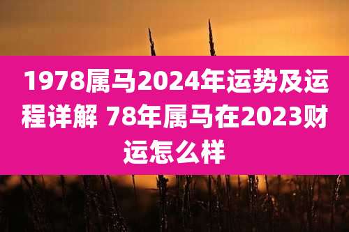 1978属马2024年运势及运程详解 78年属马在2023财运怎么样