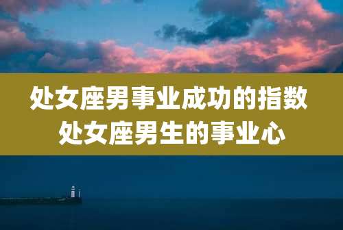 处女座男事业成功的指数 处女座男生的事业心