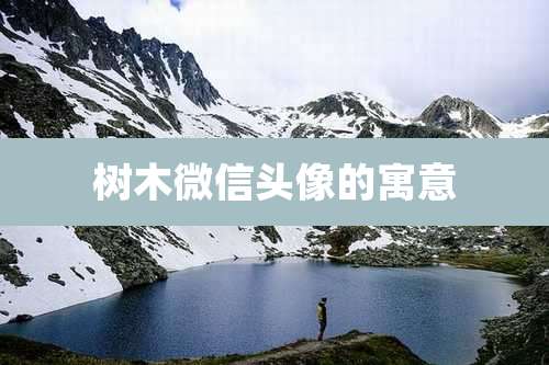树木微信头像的寓意