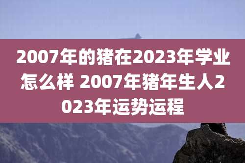 2007年的猪在2023年学业怎么样 2007年猪年生人2023年运势运程