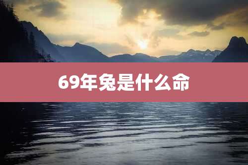 69年兔是什么命