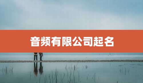 音频有限公司起名