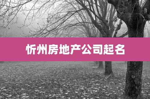 忻州房地产公司起名