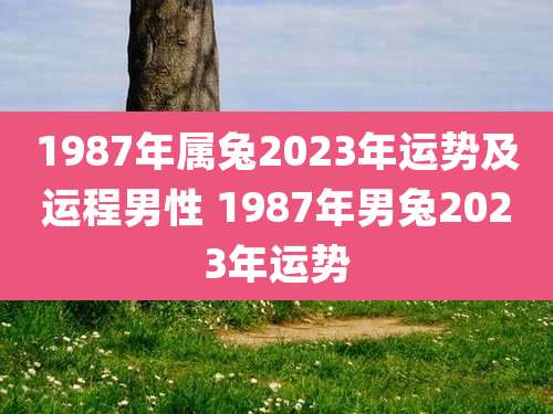 1987年属兔2023年运势及运程男性 1987年男兔2023年运势