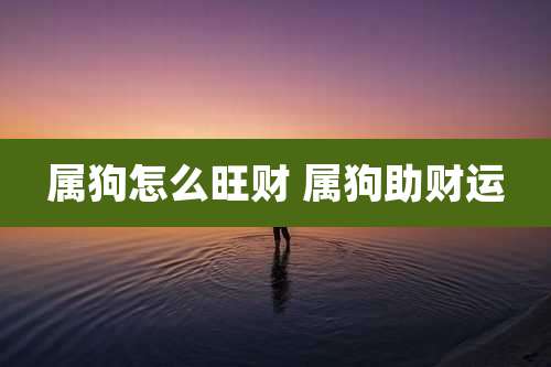 属狗怎么旺财 属狗助财运