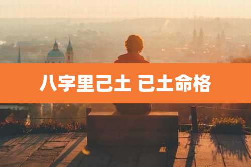 八字里己土 已土命格