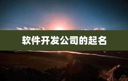 软件开发公司的起名