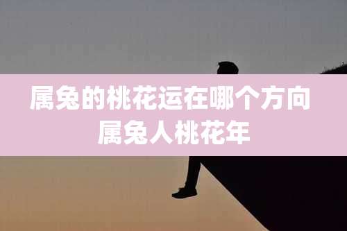 属兔的桃花运在哪个方向 属兔人桃花年