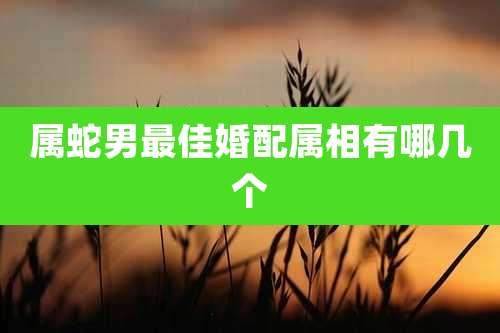 属蛇男最佳婚配属相有哪几个