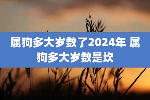 属狗多大岁数了2024年 属狗多大岁数是坎