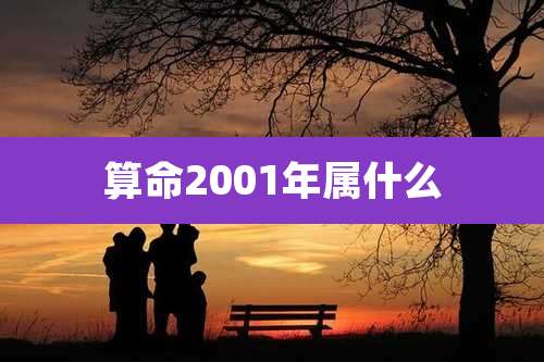 算命2001年属什么
