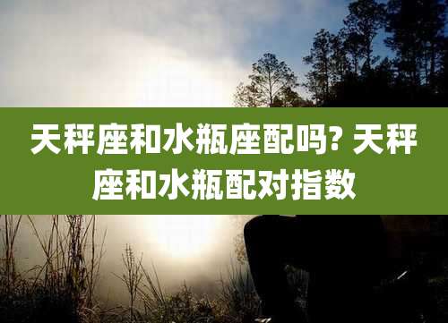 天秤座和水瓶座配吗? 天秤座和水瓶配对指数