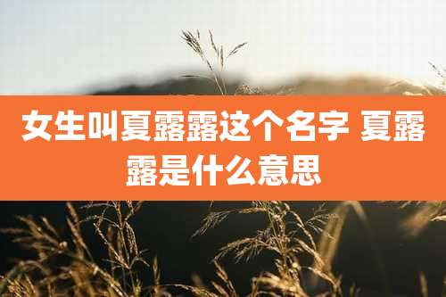 女生叫夏露露这个名字 夏露露是什么意思
