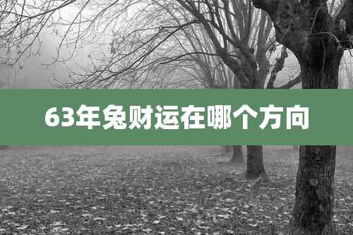 63年兔财运在哪个方向