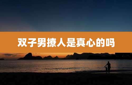 双子男撩人是真心的吗