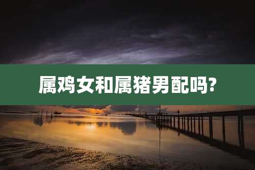 属鸡女和属猪男配吗?