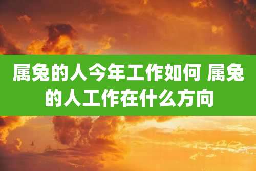 属兔的人今年工作如何 属兔的人工作在什么方向