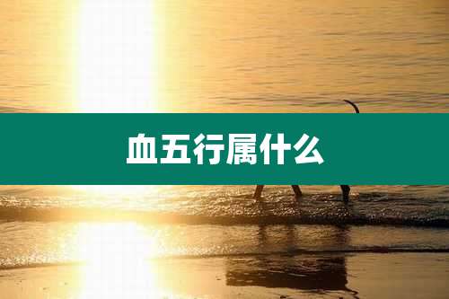 血五行属什么