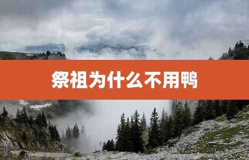 祭祖为什么不用鸭