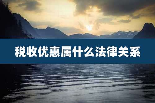 税收优惠属什么法律关系