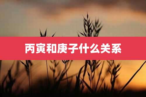 丙寅和庚子什么关系