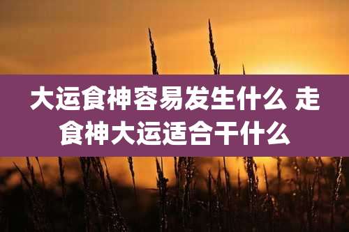 大运食神容易发生什么 走食神大运适合干什么