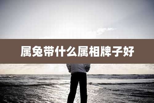 属兔带什么属相牌子好